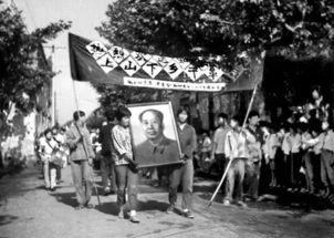 搞笑知青口号,那些搞笑知青口号背后的温馨回忆